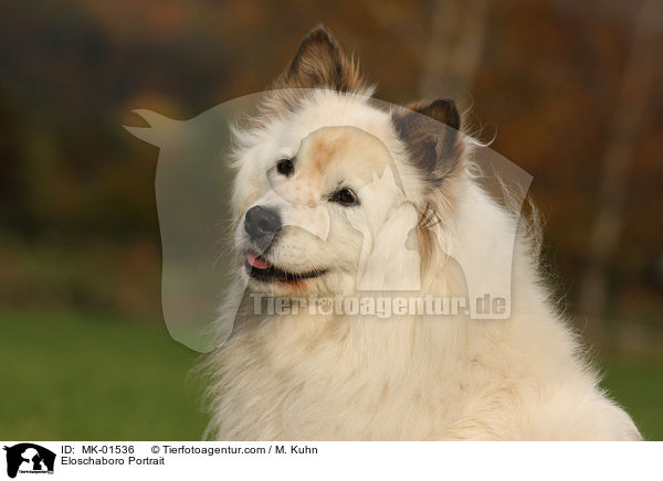 Eloschaboro Portrait / MK-01536