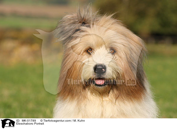 Eloschaboro Portrait / Eloschaboro Portrait / MK-01789