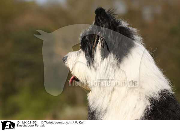 Eloschaboro Portrait / MK-02155