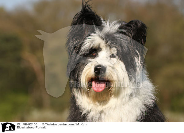 Eloschaboro Portrait / MK-02156