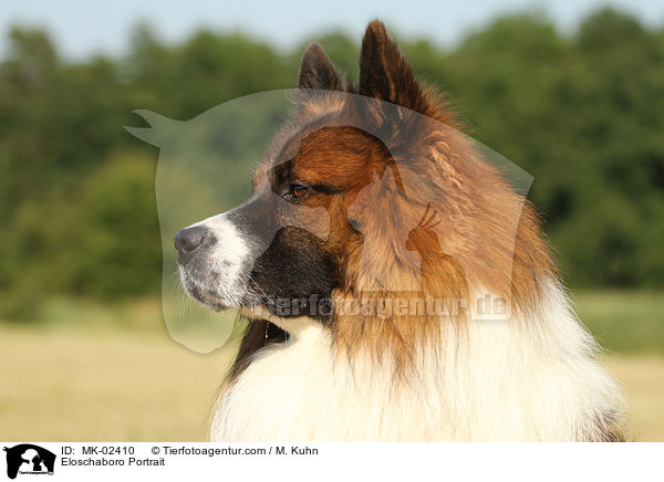 Eloschaboro Portrait / MK-02410