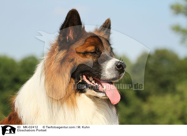 Eloschaboro Portrait / MK-02412