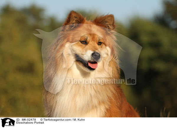 Eloschaboro Portrait / MK-02478
