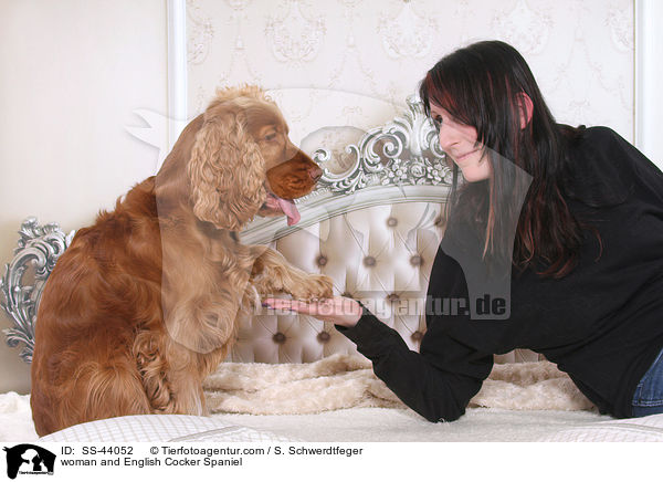 Frau und English Cocker Spaniel / woman and English Cocker Spaniel / SS-44052