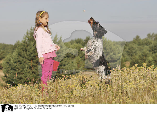 Mdchen mit English Cocker Spaniel / girl with English Cocker Spaniel / KJ-02149