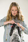 woman with English Cocker Spaniel