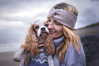 male English Cocker Spaniel