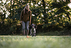 female English Cocker Spaniel