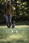 female English Cocker Spaniel