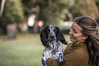 female English Cocker Spaniel