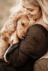 English Cocker Spaniel