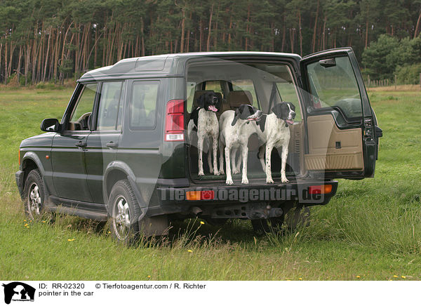 pointer in the car / RR-02320