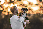 Entlebuch mountain dog puppy