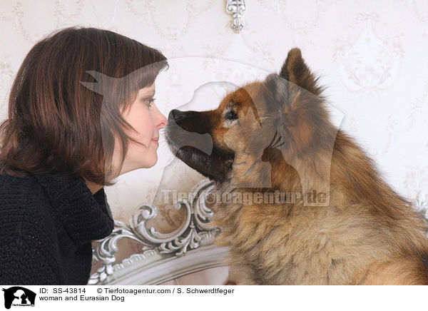 Frau und Eurasier / woman and Eurasian Dog / SS-43814