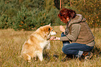 woman and Suomenlapinkoira