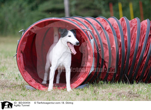 Agility Tunnel / Agility Tunnel / BD-00454