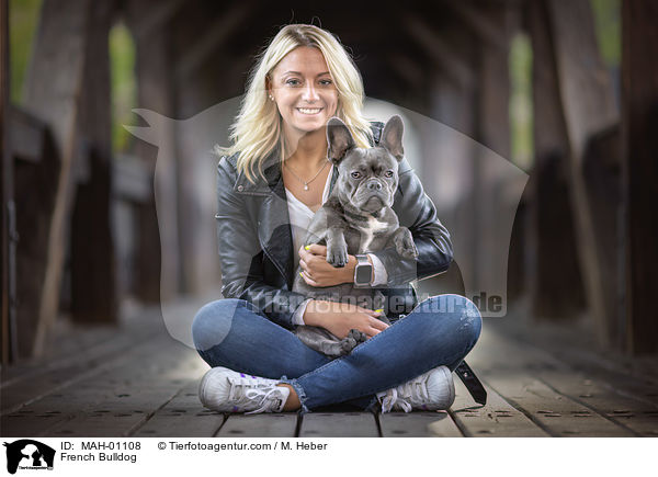 French Bulldog / French Bulldog / MAH-01108