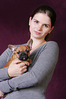 French Bulldog Puppy