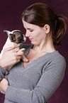 French Bulldog Puppy