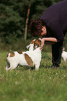 woman and French Bulldog