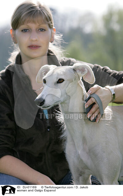 Frau und Galgo Espanol / woman and Galgo Espanol / DJ-01169