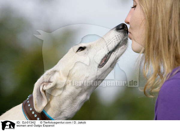 Frau und Galgo Espanol / woman and Galgo Espanol / DJ-01342