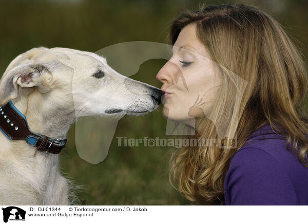 Frau und Galgo Espanol / woman and Galgo Espanol / DJ-01344