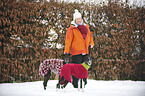 woman and Galgo Espanols