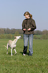 woman and Galgo Espanol