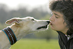 woman and Galgo Espanol