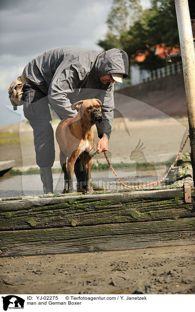 Mann und Deutscher Boxer / man and German Boxer / YJ-02275