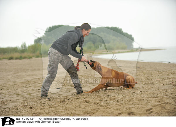 Frau spielt mit Deutschem Boxer / woman plays with German Boxer / YJ-02421
