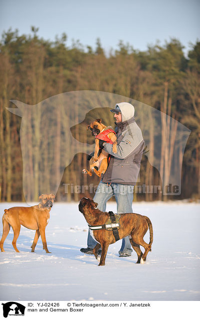 Mann und Deutsche Boxer / man and German Boxer / YJ-02426