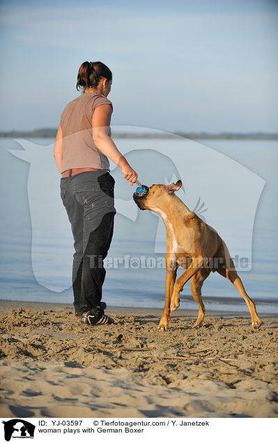 Frau spielt mit Deutschem Boxer / woman plays with German Boxer / YJ-03597