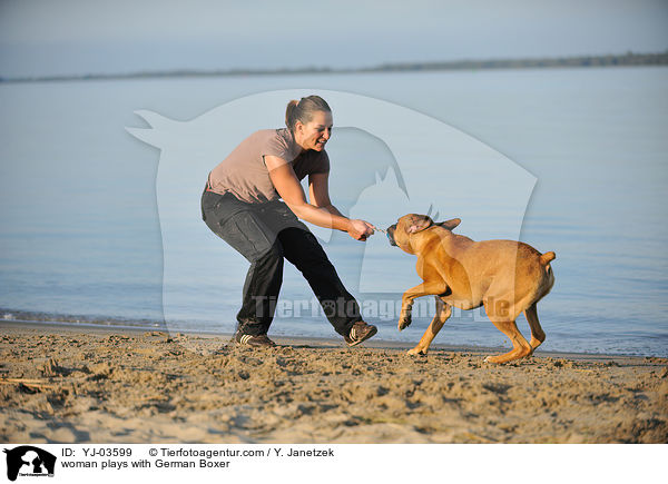 Frau spielt mit Deutschem Boxer / woman plays with German Boxer / YJ-03599