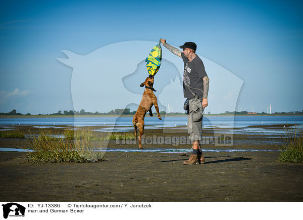 Mann und Deutscher Boxer / man and German Boxer / YJ-13386