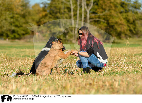 Frau und 2 Hunde / woman and 2 dogs / YJ-14158