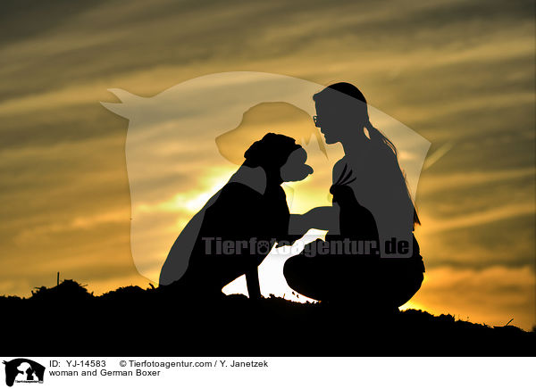 woman and German Boxer / YJ-14583