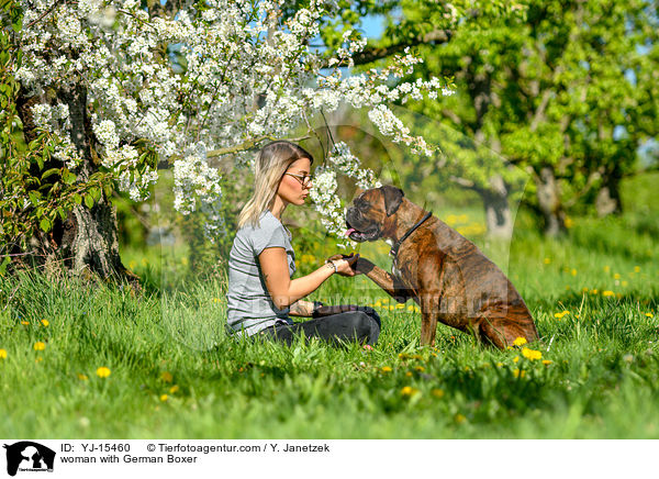 woman with German Boxer / YJ-15460