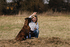 sitting German Boxer