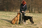 woman and German Boxer