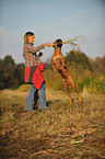 girl plays with German Boxer