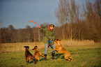 playing German Boxer