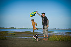 2 dogs