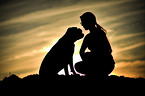 woman and German Boxer