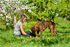 woman with German Boxer