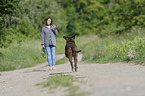 woman and German Boxer