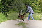 woman and German Boxer