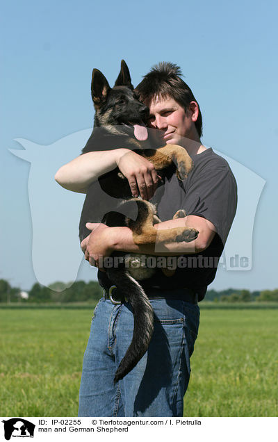 man and German Shepherd / IP-02255