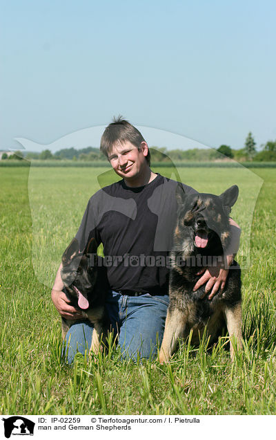 man and German Shepherds / IP-02259